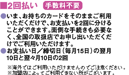 2回払い（手数料不要）