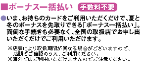 ボーナス一括払い（手数料不要）