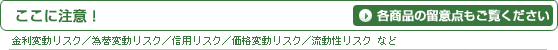 ここに注意！