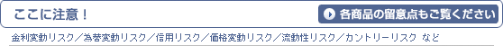 ここに注意！