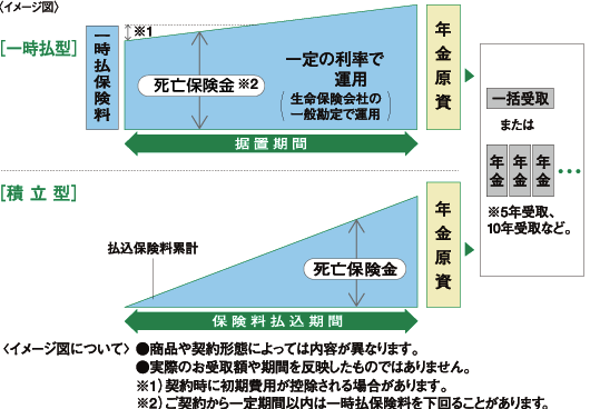 年金 保険 個人